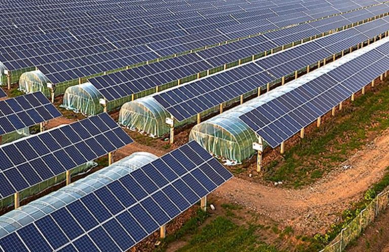Geração de energia solar terá isenção fiscal para placas fotovoltaicas