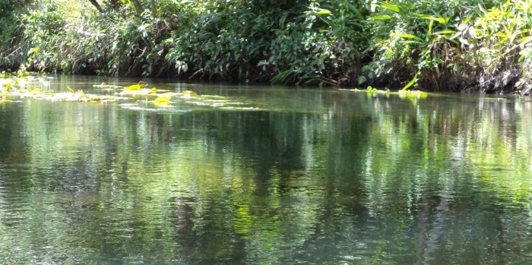 Rio Verruga
