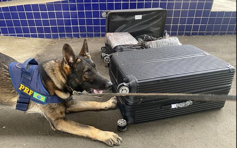 PRF prendeu traficante transportando mais de 50 quilos de maconha e skunk em Vitória da Conquista