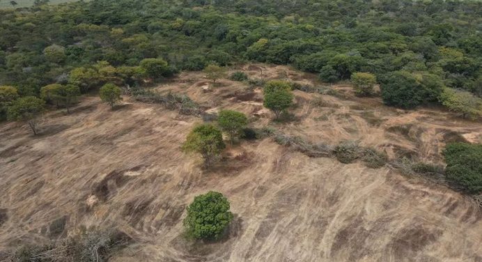 Ibama embargou 3,3 mil hectares de terra por desmatamento ilegal em Carinhanha, Santa Maria da Vitória, Serra do Ramalho e outras cidades