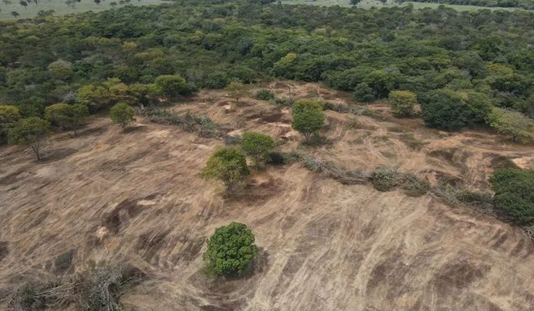 Desmatamento Caatinga Bahia
