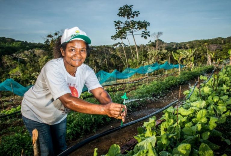 Agricultores já podem se inscrever no Garantia Safra em Vitória da Conquista