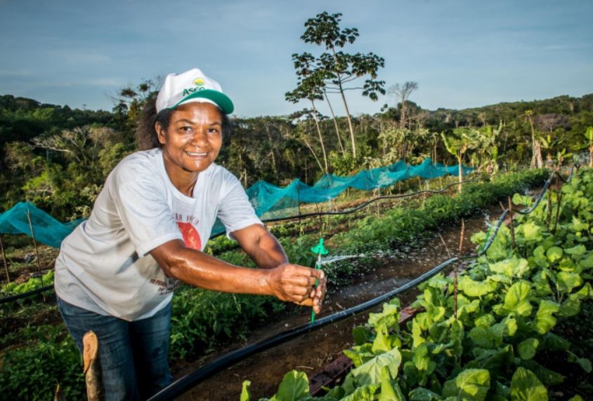 Garantia Safra contemplou agricultores familiares de 213 municípios da Bahia