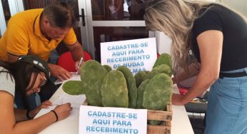 Programa Palmas para Conquista oferece mudas de palma para produtores rurais