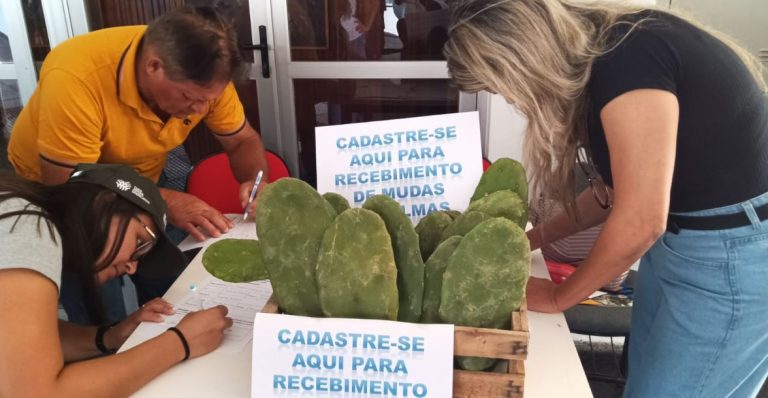 Programa Palmas para Conquista