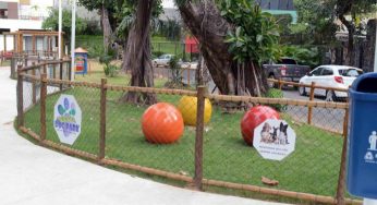 Salvador terá 54 Dog Parks até o fim de 2023