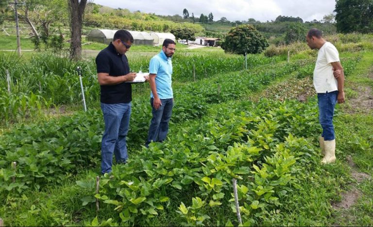 Uesb abriu seleção para doutorado em Agronomia em Vitória da Conquista