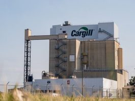 Vagas de emprego Cargill