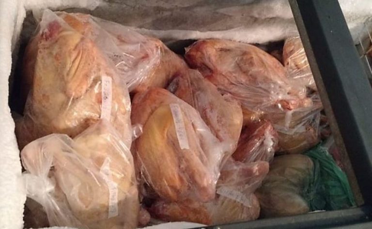 Vitória da Conquista lança campanha contra abate clandestino de aves