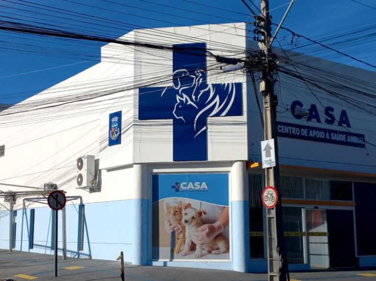 Vitória da Conquista realiza levantamento do número de cães e gatos para implantação de políticas públicas