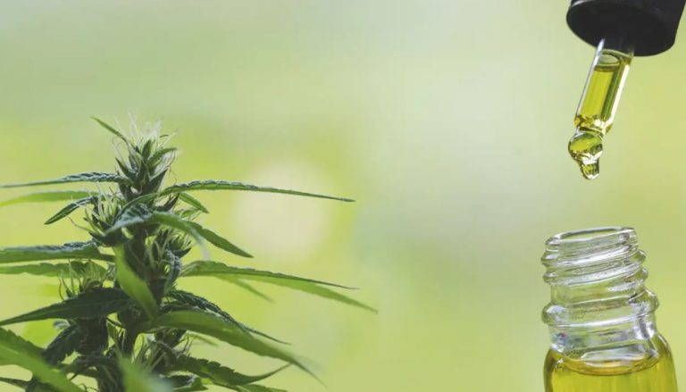 Cannabis medicinal