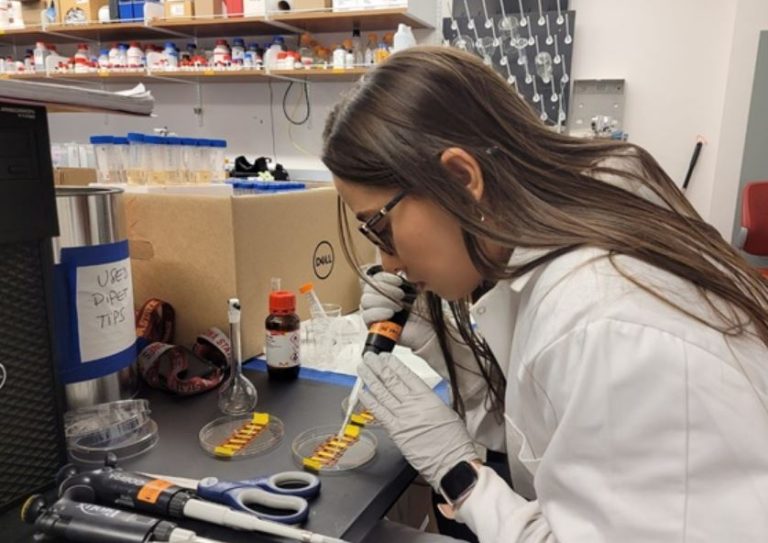 Estudante baiana identificou novo método alternativo para detecção de pesticidas