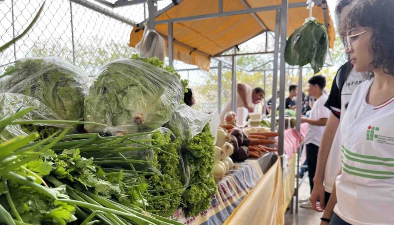 IF Baiano promove seminário e feira agroecológica nesta semana em Guanambi
