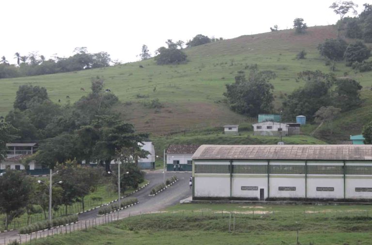 IF Baiano - Campus Catu