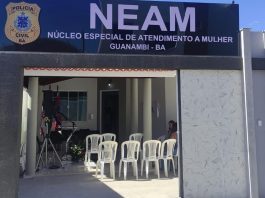 Neam Guanambi