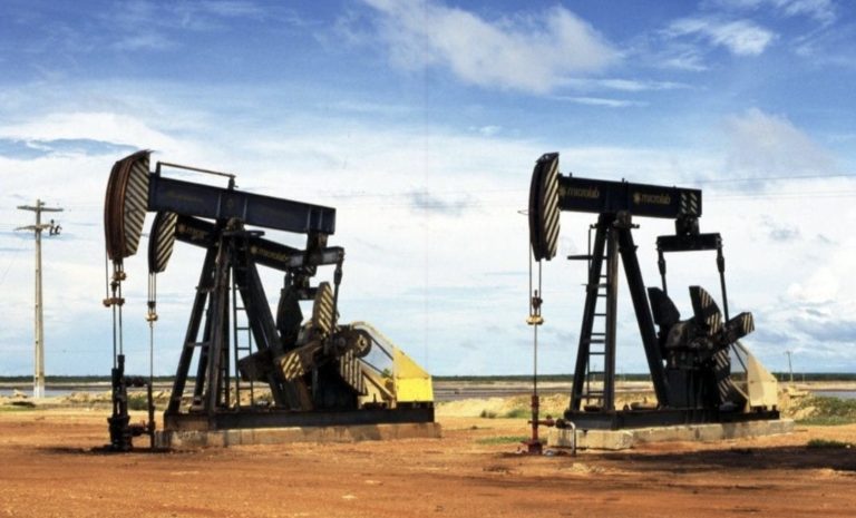 Polos Bahia Terra Petrobras