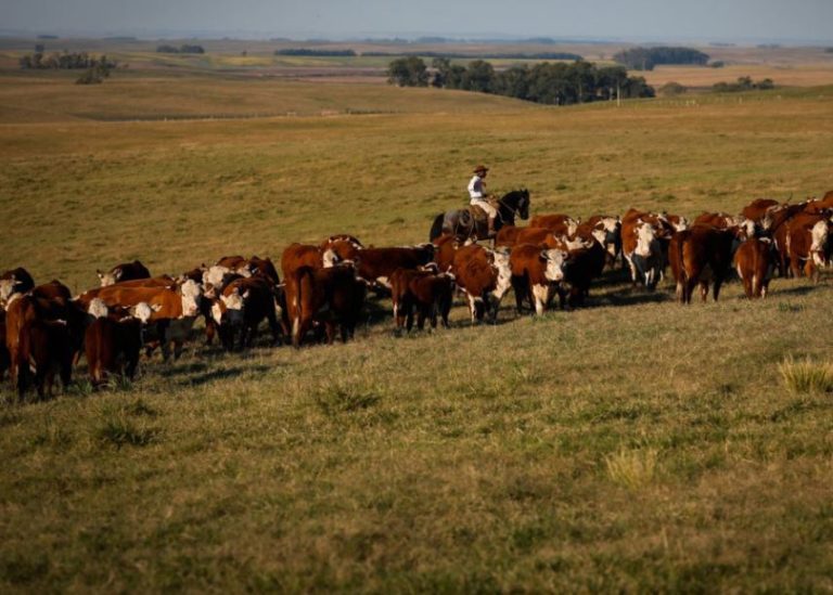 Produto Interno Bruto cresceu 2,5% em fevereiro