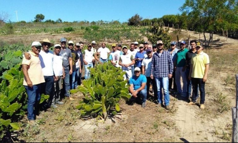 Vitória da Conquista inscreve agricultores no programa de melhoramento genético + Pecuária Brasil