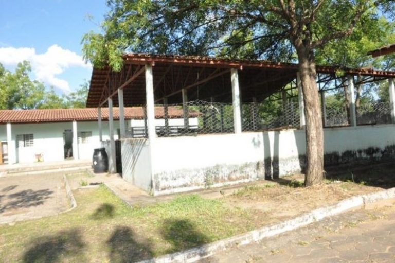 Barreiras inicia cadastro para castração gratuita de cães e gatos