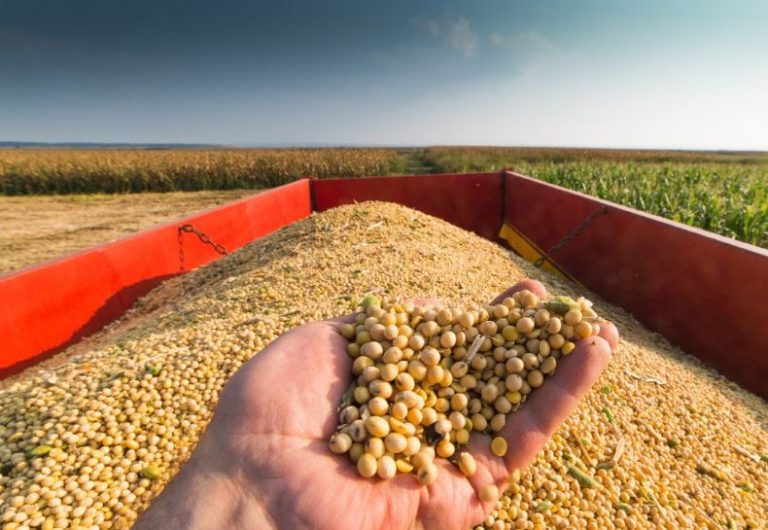 Conab estima produção de grãos em 315,8 milhões de toneladas neste ano