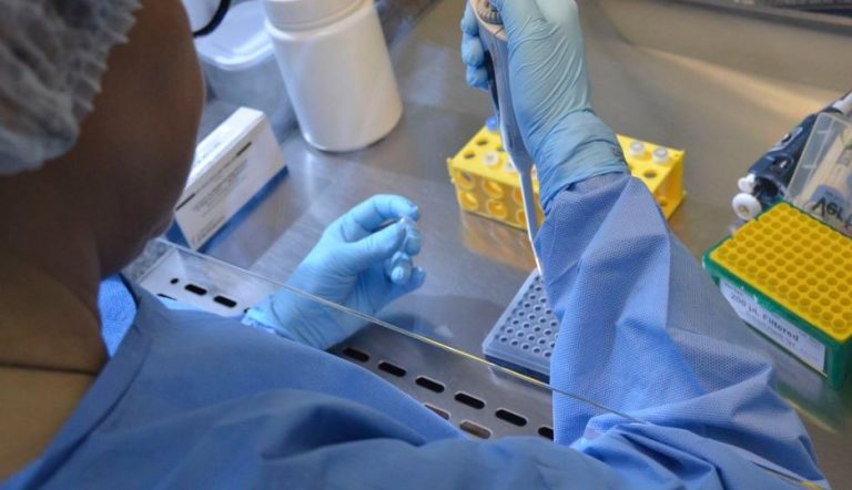 Estudo comprova eficácia de vacina contra Chikungunya