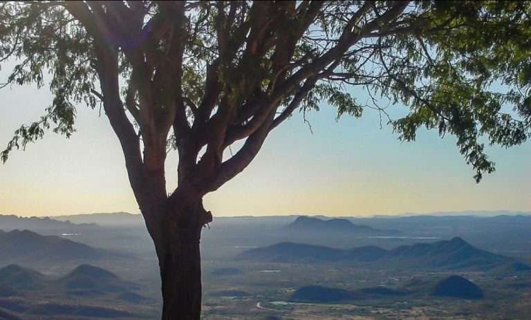 Novo Parque Nacional foi criado no Nordeste