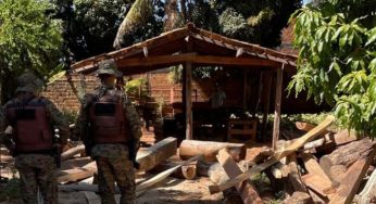 Polícia Ambiental descobriu serraria ilegal de madeira nativa na Bahia