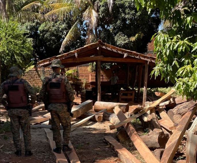 Polícia Ambiental descobriu serraria ilegal de madeira nativa na Bahia
