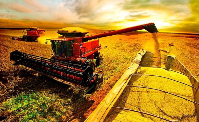 Uesb abre seleção para Mestrado e Doutorado em Agronomia em Vitória da Conquista