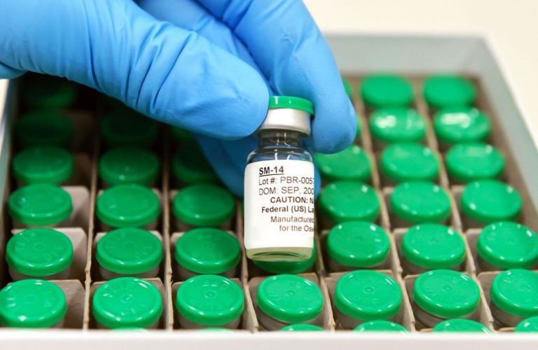 Vacina contra esquistossomose estará disponível no SUS em 2025