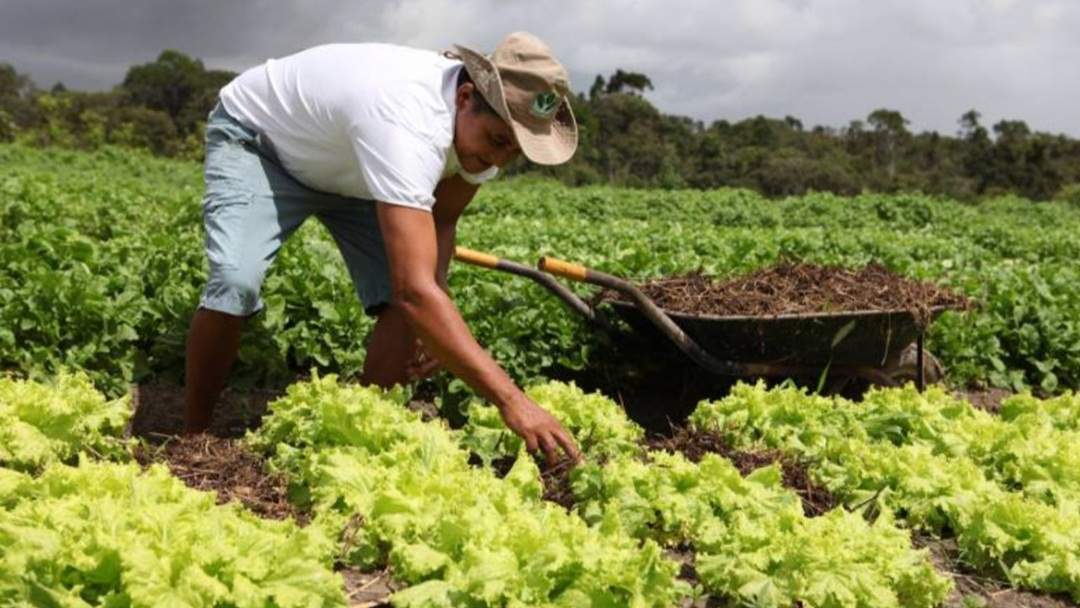 Cooperativa do Sertão Baiano aposta na produção de base agroecológica e agroflorestal