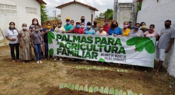 Agricultores familiares de Cocos e Jacobina receberam 90 mil mudas de palma