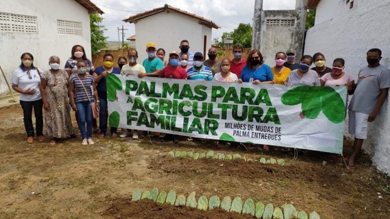 Agricultores familiares de Cocos e Jacobina receberam 90 mil mudas de palma
