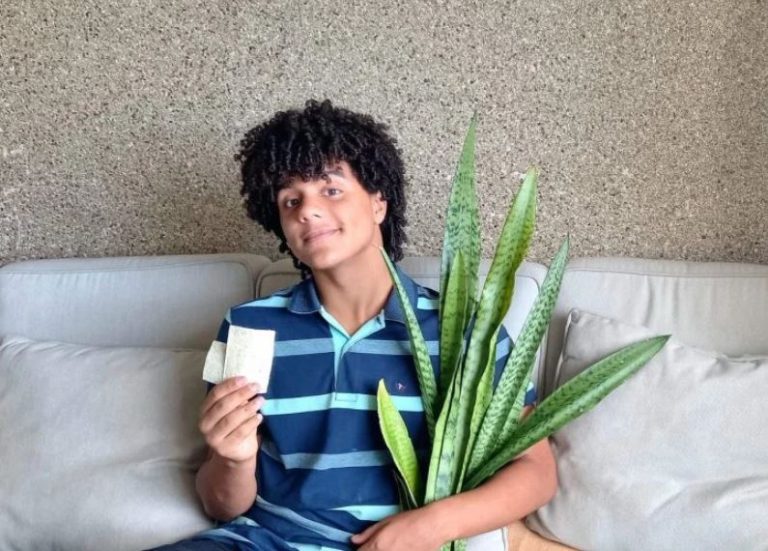 Estudante baiano desenvolve papel a partir da fibra da espada de São Jorge