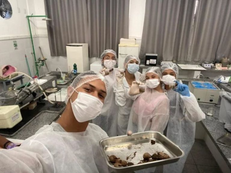 Estudantes baianos desenvolvem biocombustível a partir do tamarindo