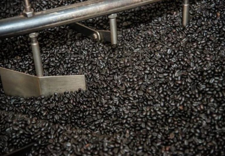 Governo realiza licitação para contratação de produtos da agricultura familiar e economia solidária