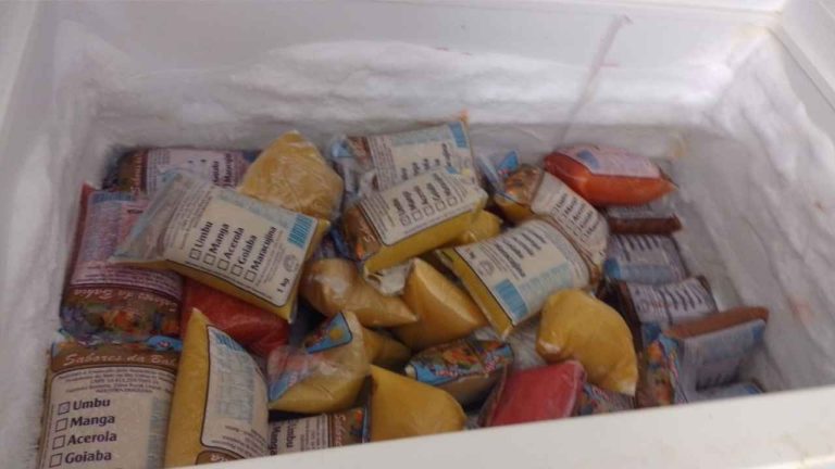 Polpas de frutas urandi