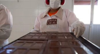 Produtores familiares participam da Chocolat Bahia 2023 em Ilhéus