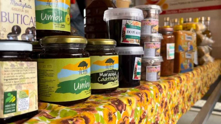 Processo Seletivo Setre - Produtos da Economia Solidária Sertão Produtivo