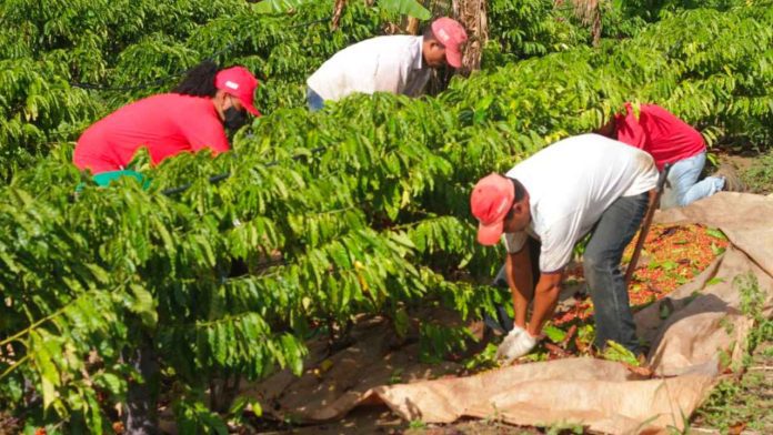 Reforma Agrária Bahia