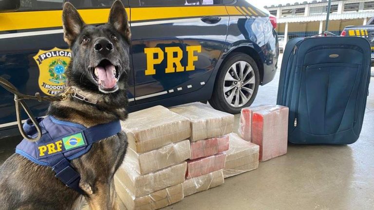 PRF apreendeu mais 68 quilos de maconha na BR-116, em Vitória da Conquista