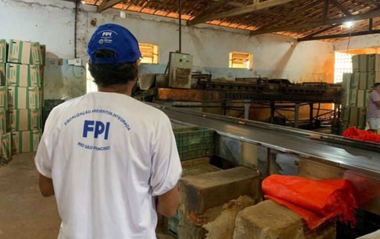 agencia-sertao-fiscalizacao-integrada-flagra-trabalho-irregular-na-chapada-diamantina