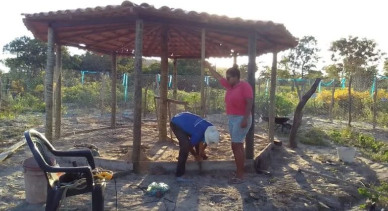 agencia-sertao-mulheres-agricultoras-de-barreiras-avancam-na-producao-agroecologica
