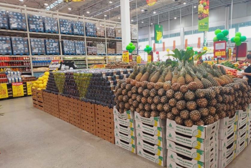 Agricultura familiar da Bahia avança na comercialização de abacaxi para outros estados brasileiros