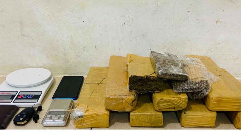 Apreensão de drogas conquista