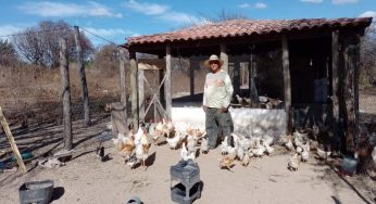 Famílias de Malhada de Pedras melhoram renda com avicultura e assistência técnica
