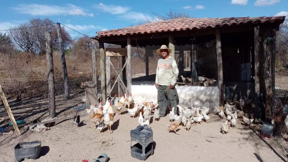 Famílias de Malhada de Pedras melhoram renda com avicultura e assistência técnica