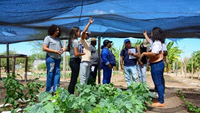 Representantes do Governo de Angola fazem intercâmbio na Bahia para conhecer experiências da agricultura familiar