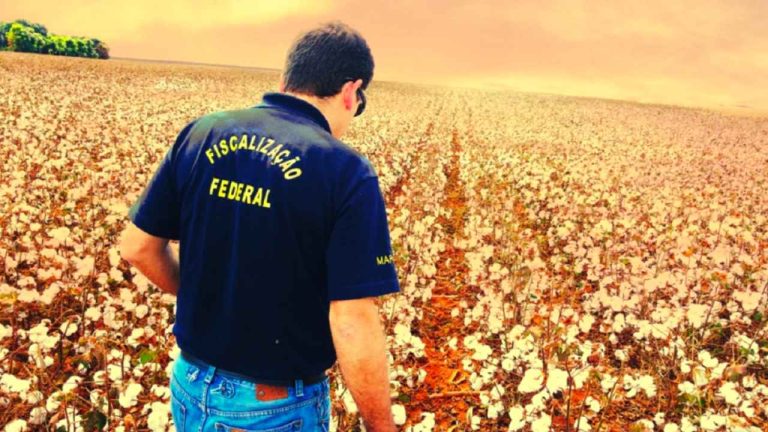 Concurso do Ministério da Agricultura MAPA