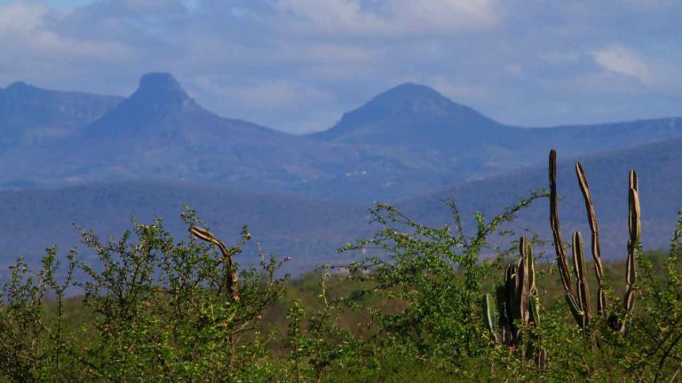 ICMBio abre inscrição em processo seletivo para atuação na Floresta Nacional Contendas do Sincorá, na Bahia